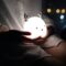 Lumina de noapte LED - imagine 3